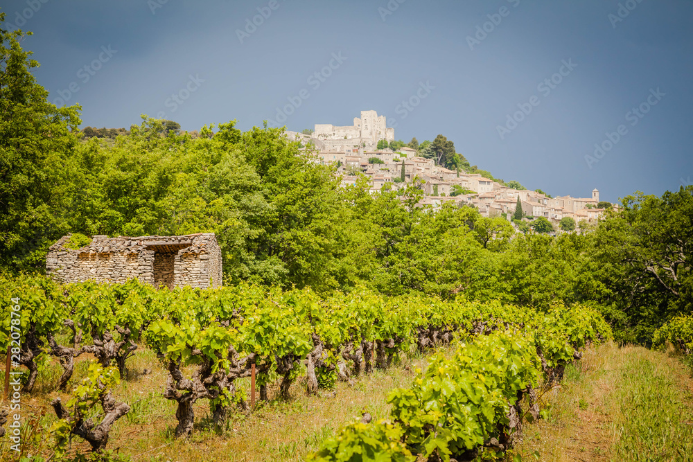 View to Lacoste across a vineyard