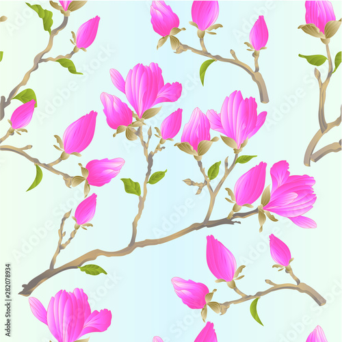 Seamless texture stem Chinese magnolia blooming pink flowers and buds with leaves  botanical spring herb background vintage vector illustration editable Hand draw
