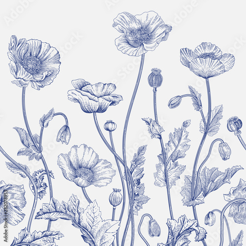 Vintage illustration. Seamless border. Blue and white.