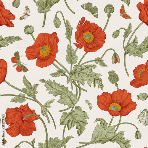 Vintage floral illustration. Seamless pattern. Red Poppies with butterflies.