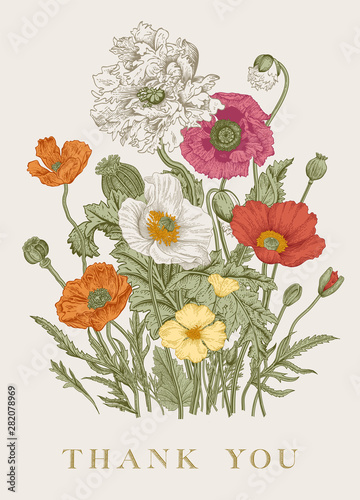 Vintage floral illustration. Bouquet. Flowers Poppies of various varieties. Thank you ..