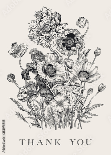 Vintage floral illustration. Bouquet. Flowers Poppies of various varieties. Black and white. Thank you