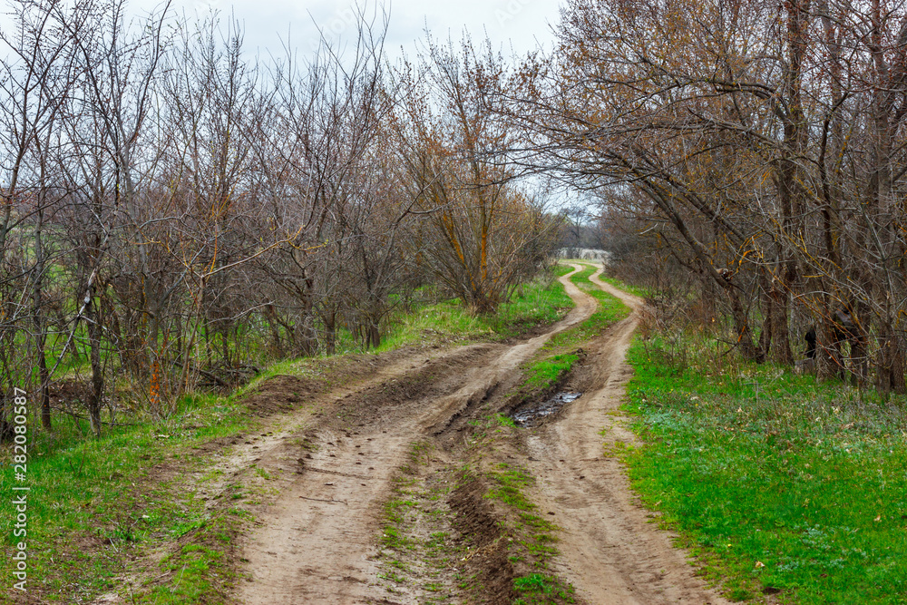 The unpaved country road leading through the leafless forest at the early spring time The unpaved country road leading through the leafless forest at the early spring time