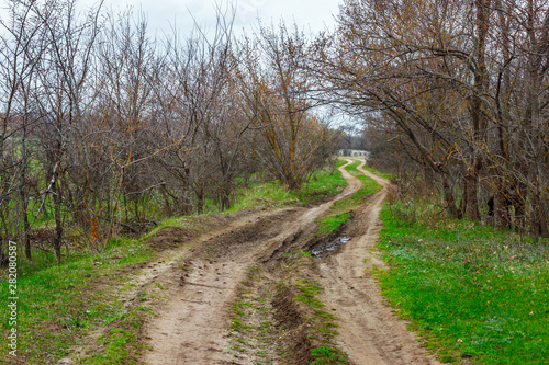 The unpaved country road leading through the leafless forest at the early spring time