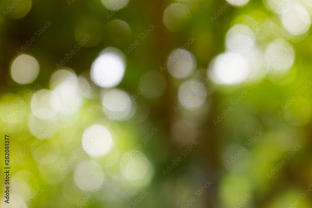Background, yellow green leaves, beautiful blur Background, yellow green leaves, beautiful blur