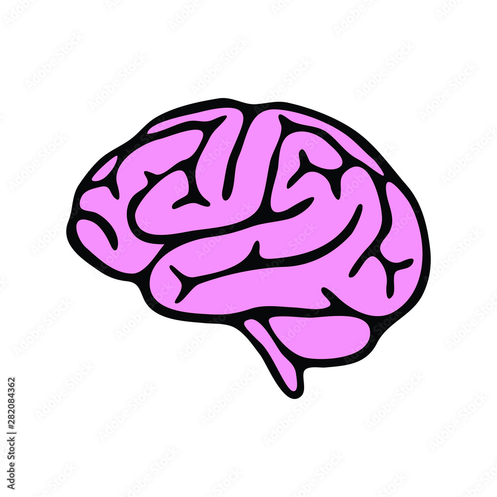 Simple and clean brain icon. brain logo. silhouette brain illustration. 