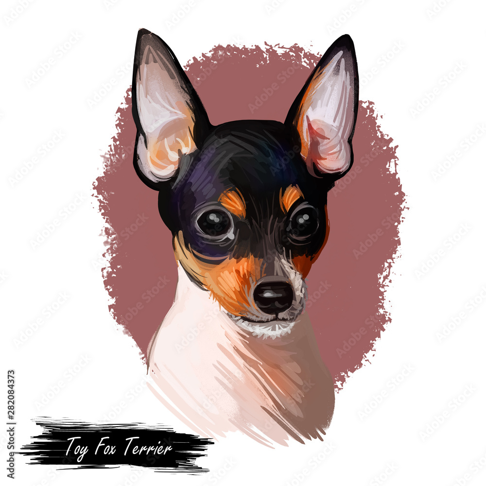 Toy Fox Terrier dog breed portrait isolated on white. Digital art illustration, animal watercolor drawing of hand drawn doggy for web. Pet has short and straight coat that white with dark markings Toy Fox Terrier dog breed portrait isolated on white. Digital art illustration, animal watercolor drawing of hand drawn doggy for web. Pet has short and straight coat that white with dark markings