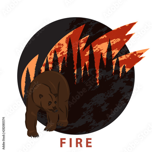 Fiery element. Bear coming out of a burning forest, taiga - round icon - isolated on white background - flat style - vector.