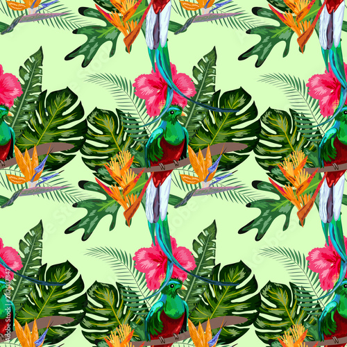 Seamless pattern of endangered species of birds Magnificent resplendent quetzal sitting on a branch against the backdrop of a tropical foliage and flowers, design