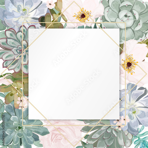 Beautiful background with leaves eucalyptus and  succulent flowers, space for text, isolated on white. Vector Watercolour.