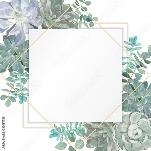 Beautiful background with leaves eucalyptus and  succulent flowers, space for text, isolated on white. Vector Watercolour.