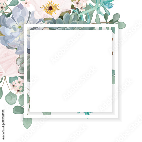 Beautiful background with leaves eucalyptus and succulent flowers, space for text, isolated on white. Vector Watercolour.