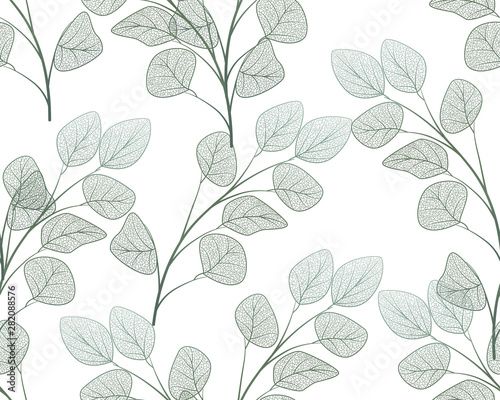 Seamless pattern with eucalyptus leaves.Vector illustration. © helenagl