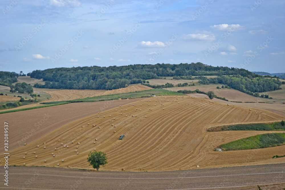 normandy harvest