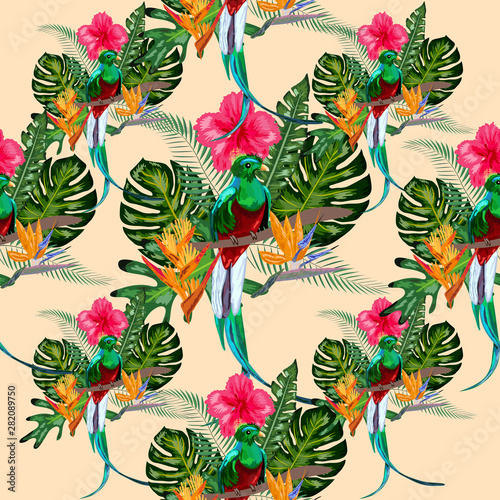 Seamless pattern of endangered species of birds Magnificent resplendent quetzal sitting on a branch against the backdrop of a tropical foliage and flowers, design