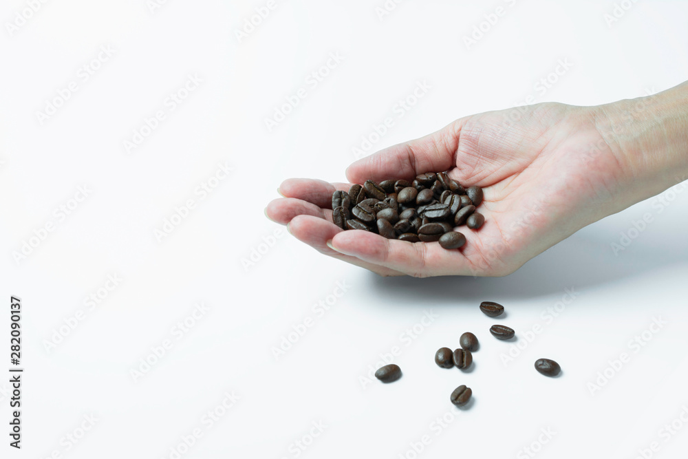 Hand holding coffee beans isolated on white background and copy space Hand holding coffee beans isolated on white background and copy space