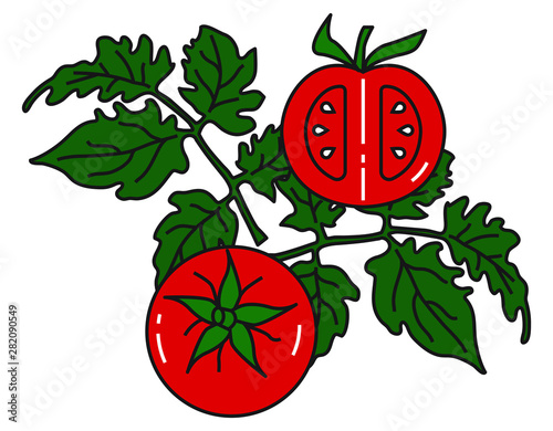 Vector image of tomatoes on a green Bush with leaves. For menu design, social networks, leaflets, websites, banners, postcards, packaging, presentation.