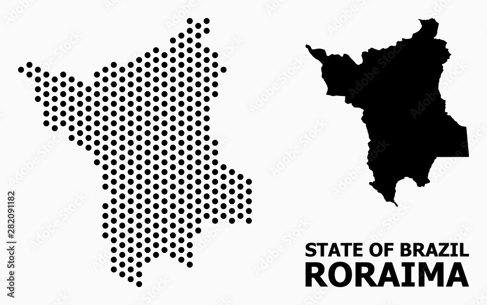 Pixelated Mosaic Map of Roraima State