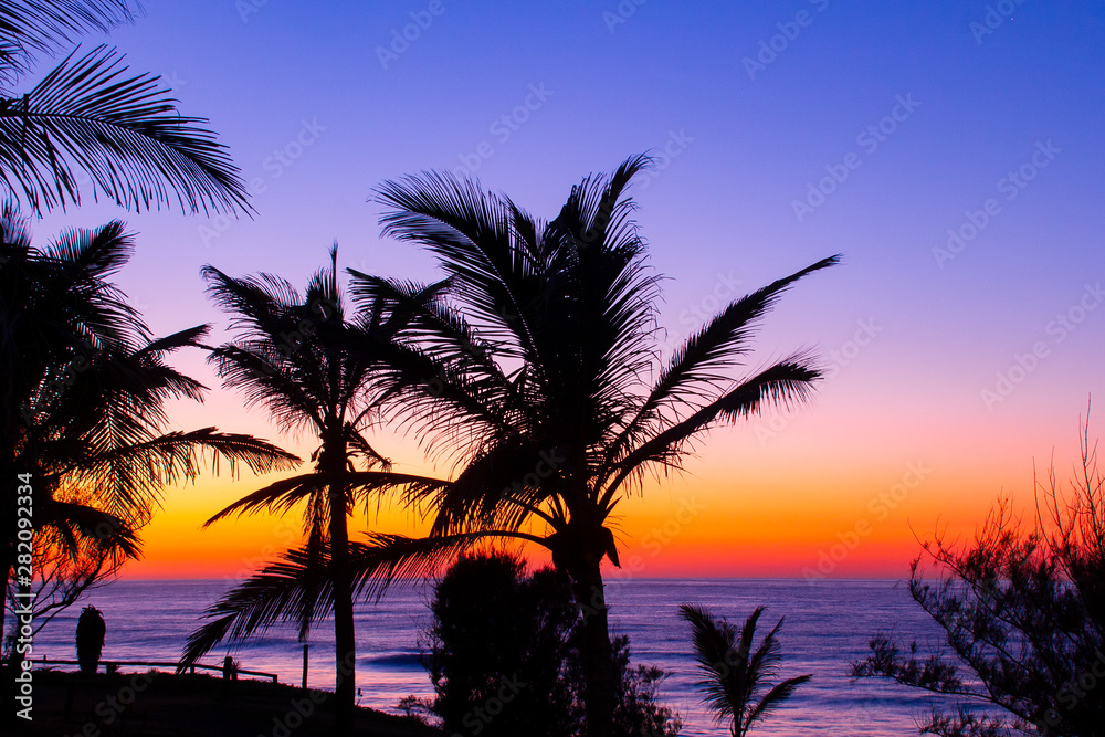 sunrise over ocean with palm tree silhouette