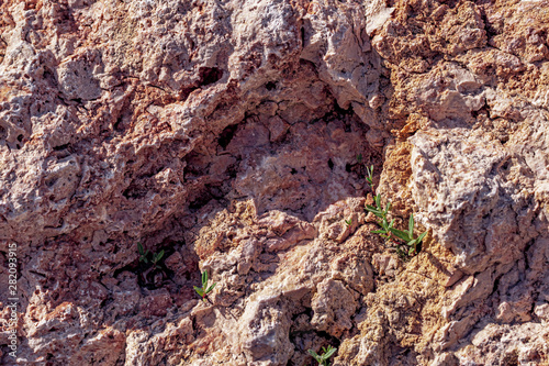 colorful sedimentary rock formation full frame background