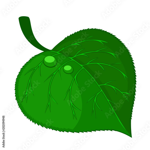 Green leaf with water droplets on a white. Eco logo
