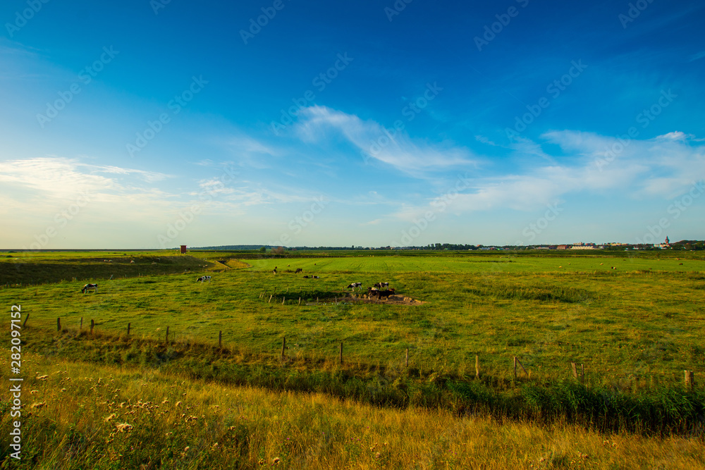 Fototapeta premium Hinter den Dünen der Nordsee in Husum