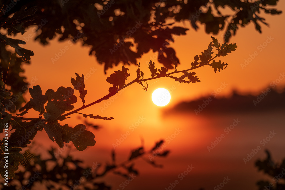 Fototapeta premium Orange sunrise