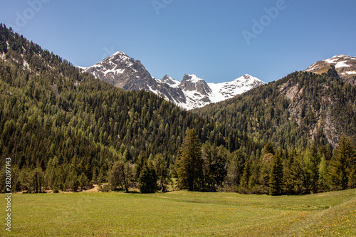 View of snowy mountains behind green wooded mountains at blue sky in swiss alps