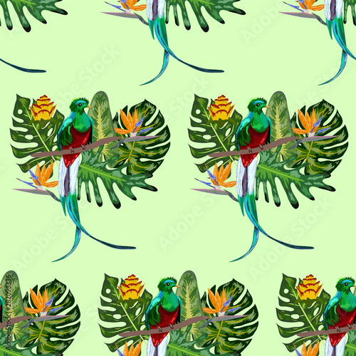 Seamless pattern of endangered species of birds Magnificent resplendent quetzal sitting on a branch against the backdrop of a tropical foliage and flowers, design