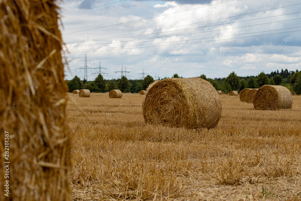 hay bundles on a field