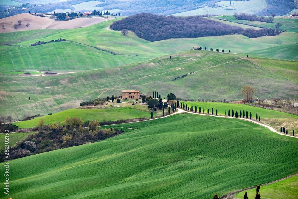 Farm, road with cypress trees, hills and fields. Tuscany, Italy
