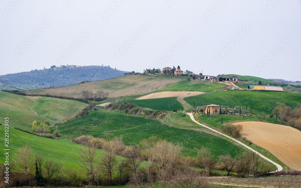 Hills and fields. Tuscany, Italy