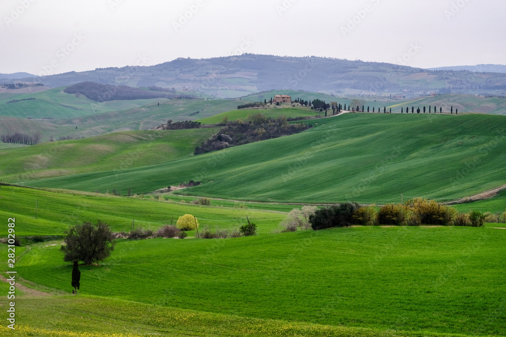 Hills and fields. Tuscany, Italy Hills and fields. Tuscany, Italy