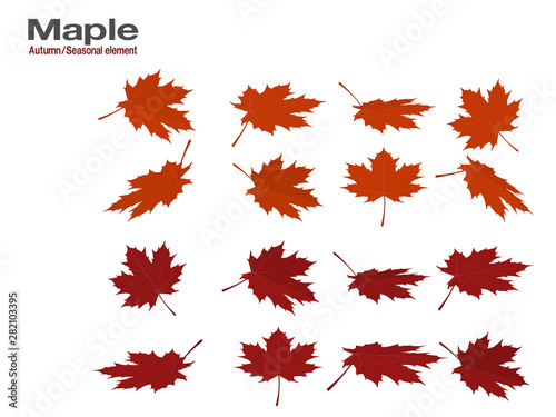 Set of red maple leaves on transparent background