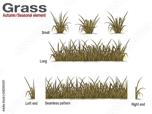Set of dry grass on transparent background