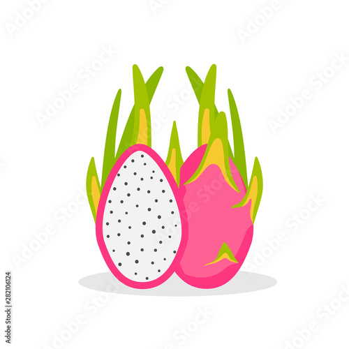Summer tropical fruits for healthy lifestyle. Red dragon fruit isolated on white background. Vector illustration.