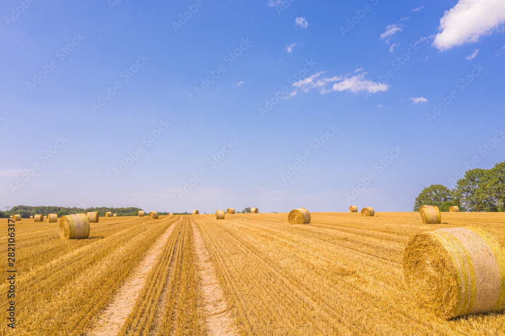 lots of yellow bales of straw lying on a field lots of yellow bales of straw lying on a field