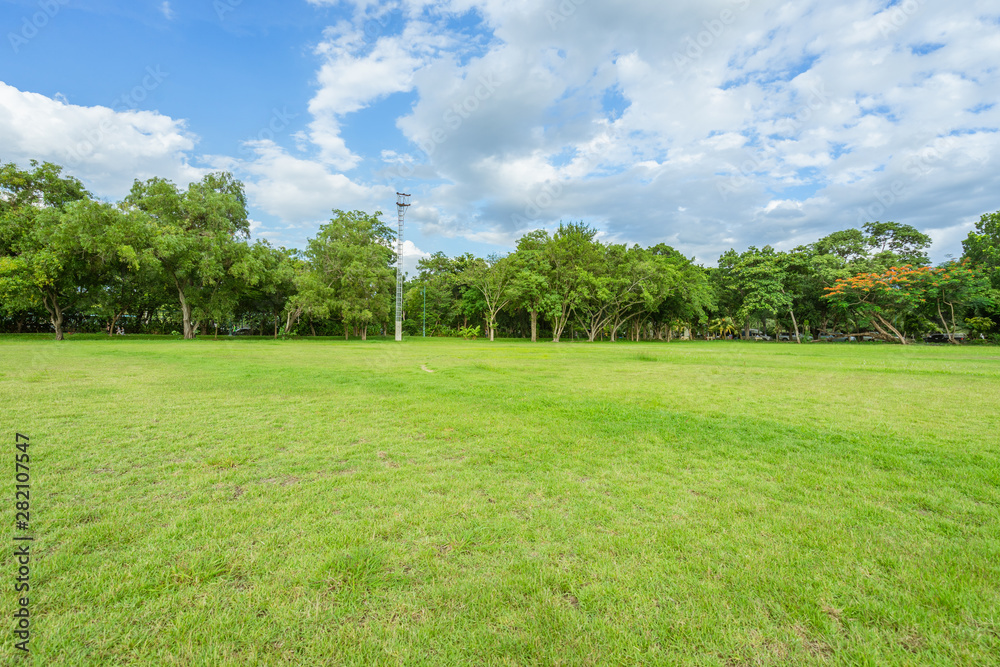 landscape of grass field and green environment public park use as natural background,backdrop landscape of grass field and green environment public park use as natural background,backdrop