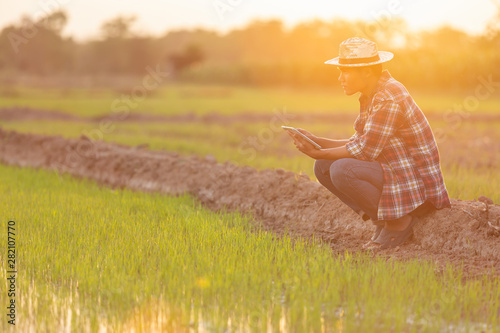 Asian young farmer using tablet at the green rice field