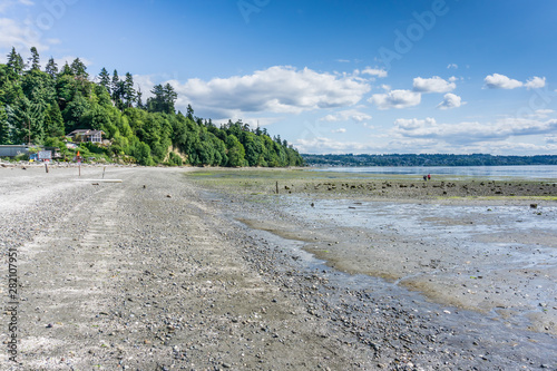 Uncovered Shoreline Landscape