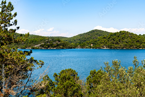 View to a isle of mljet farmed with trees