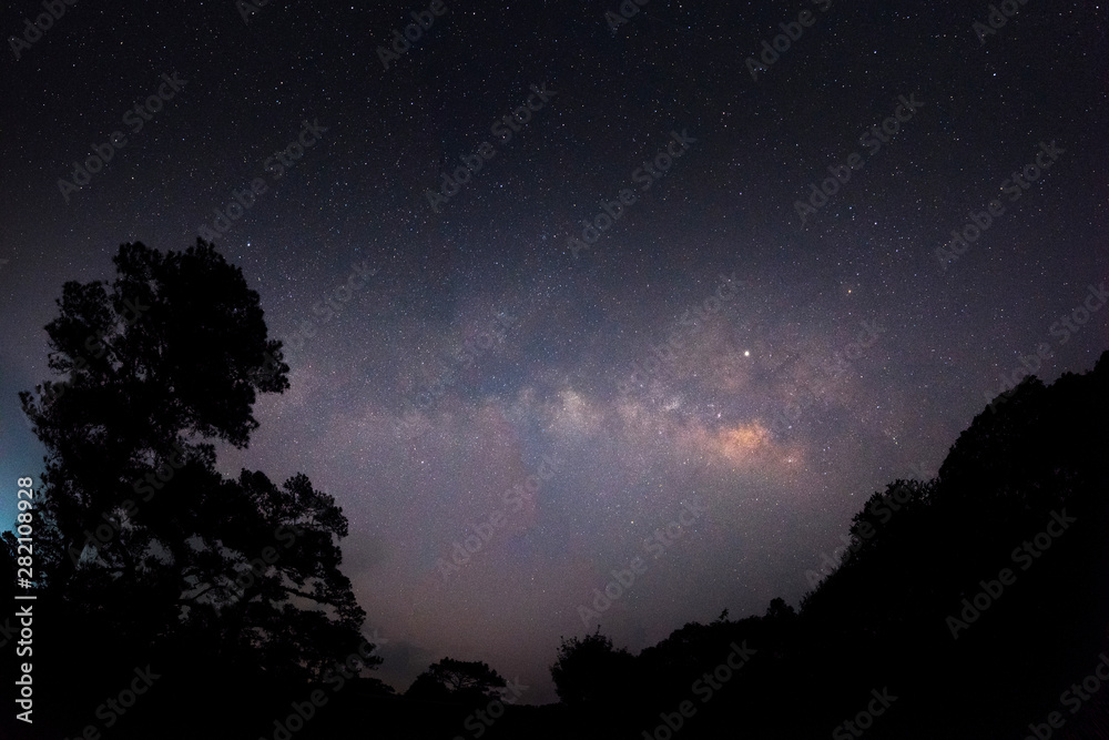 Milky way over the pine forest before dawn (noise contain)