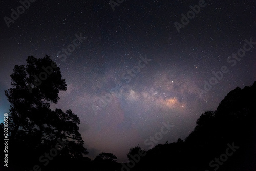 Fotografie Milky way over the pine forest before dawn (noise contain)