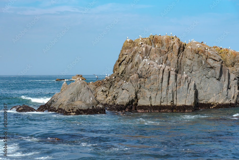 Lots of Seagulls stand on rocks isolated in the ocean, relaxing and flying around the rocks Lots of Seagulls stand on rocks isolated in the ocean, relaxing and flying around the rocks