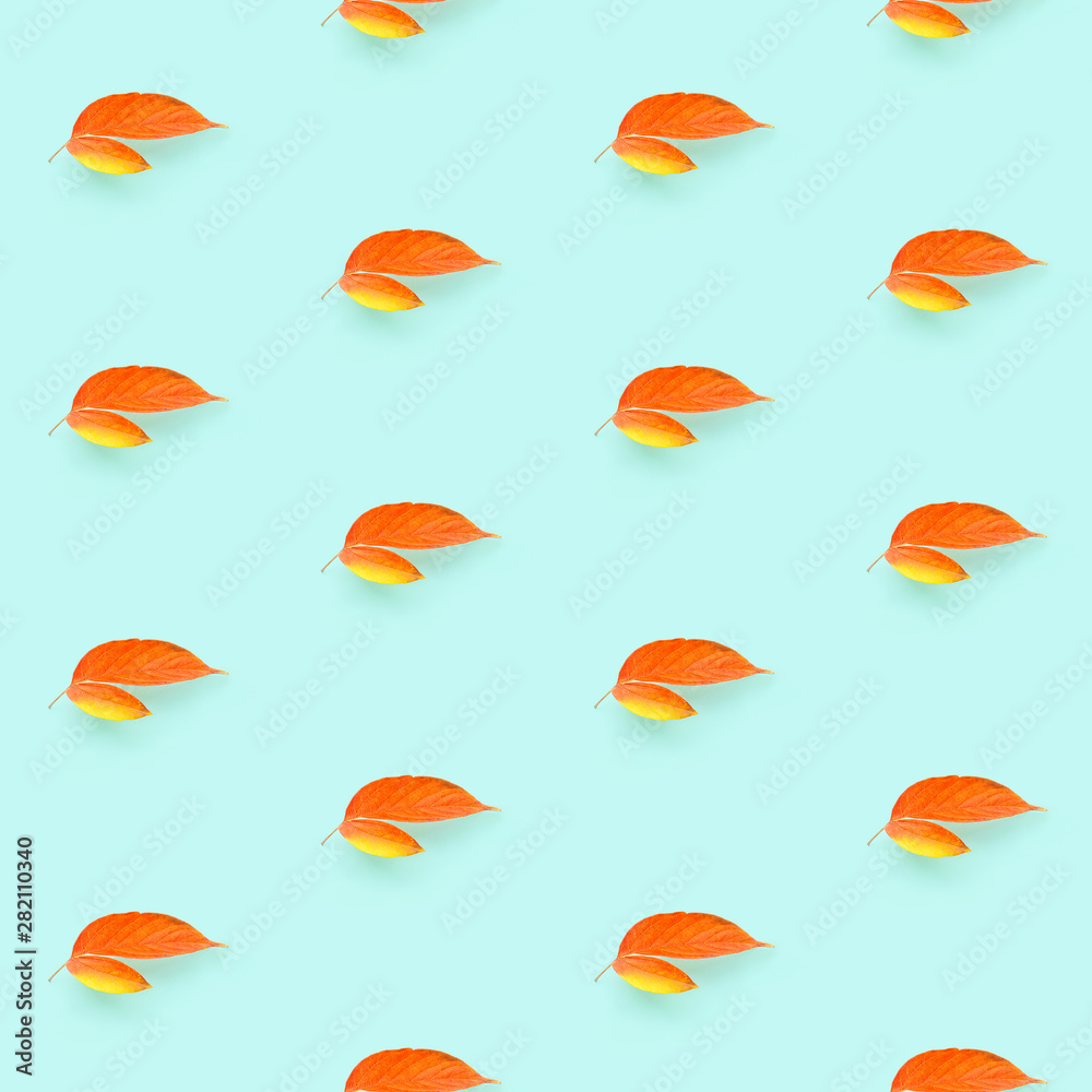 Seamless pattern of colorful autumn leaves on turquoise background.