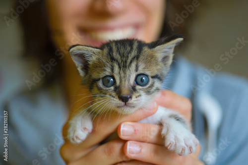 Ragazza giovane che sorride felice e tiene in braccio tra le mani un gatto piccolo cucciolo tenero e coccola