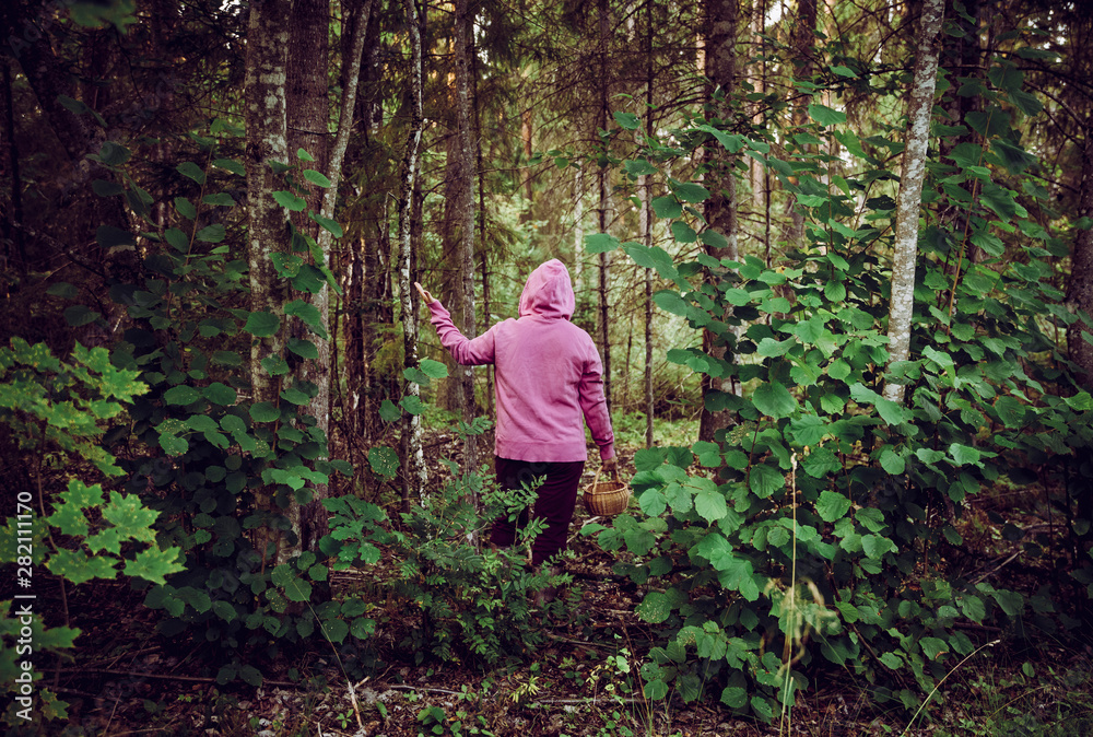 Confused person went to mushroom picking and got lost in the forest, disoriented scared and confused, northern Europe. Person lost in nature concept. Wearing bright colorful clothing. Confused person went to mushroom picking and got lost in the forest, disoriented scared and confused, northern Europe. Person lost in nature concept. Wearing bright colorful clothing.