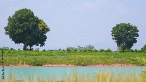 Beautiful Natural view in the garden with trees, rivers.Beautiful views
