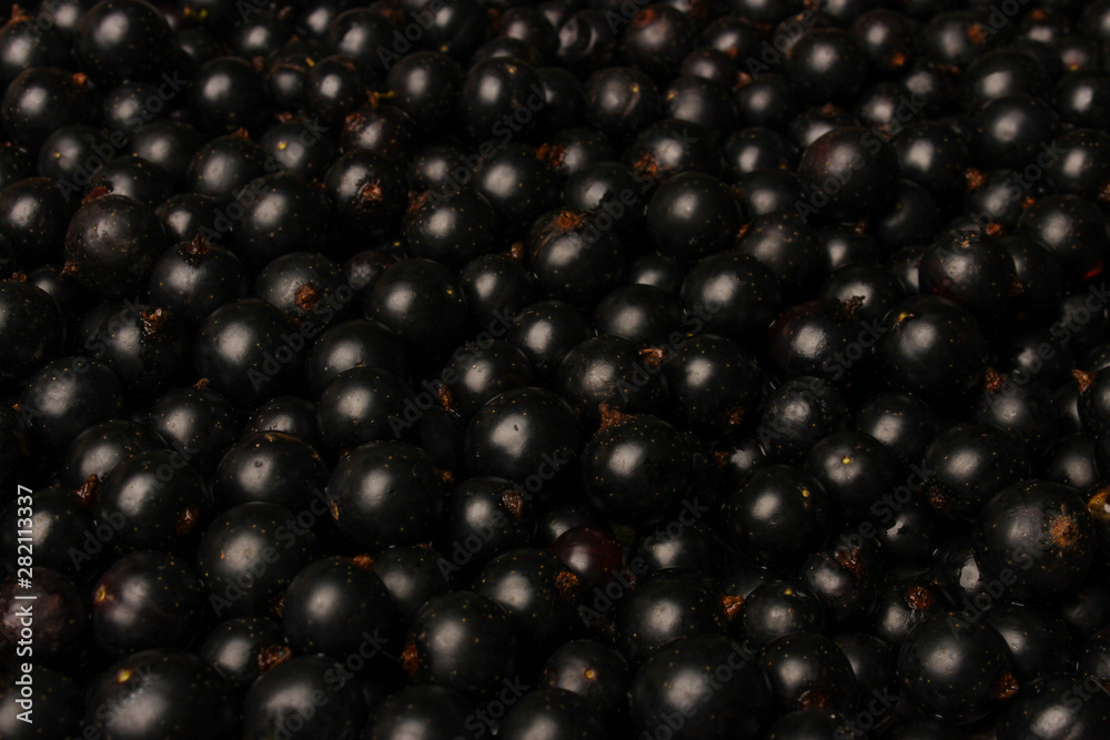Black currant Black currant