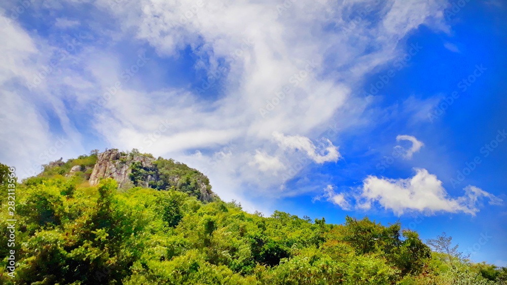 Tree on mountain whit sky 